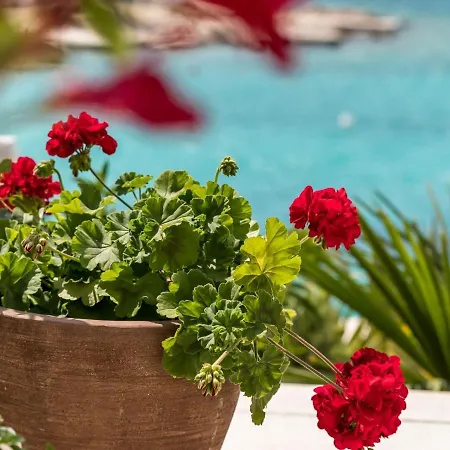 Kanica By Adriatic Sea *