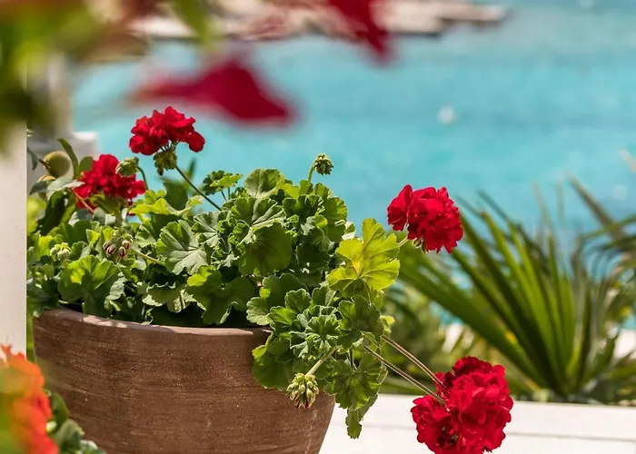 Kanica By Adriatic Sea *